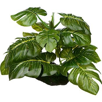 Petco Araceae Terrarium Plant Reptile Decor - Image 3