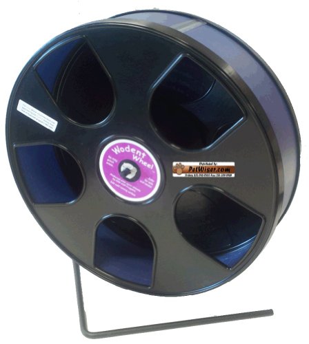Rodent - Semi-Enclosed Exercise Wodent Wheel 'Sr.' 11 inch size Blue