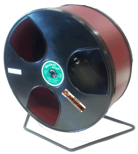 Rodent - Semi-Enclosed Exercise Wodent Wheel 'Wobust' 12" Burgundy
