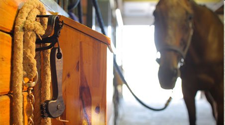 The Illuminated Hoof Pick - One Size - Image 6