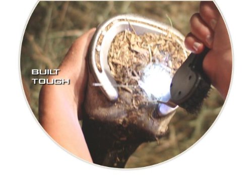 The Illuminated Hoof Pick - One Size