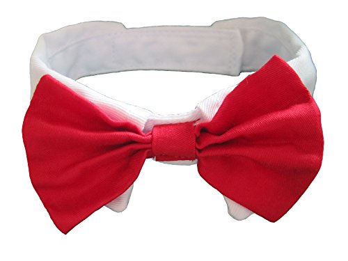 Vedem Small Dog Cat Pet Bow Tie Collar (Red, S)