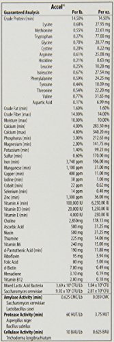 Vita Flex Accel Health and Wellness Formula, 5-Pound - Image 3