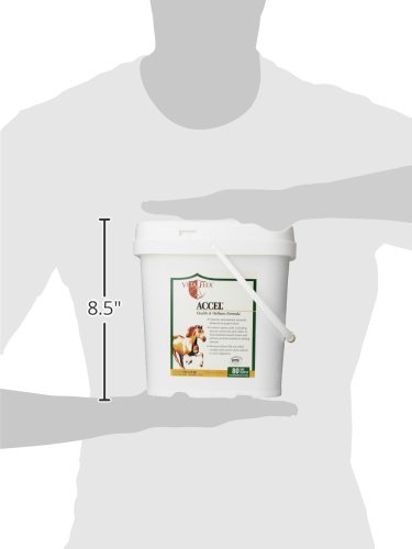 Vita Flex Accel Health and Wellness Formula, 5-Pound - Image 6
