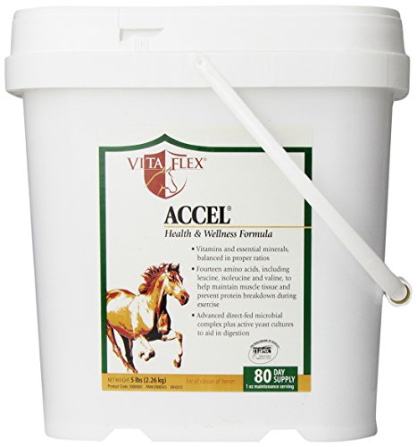 Vita Flex Accel Health and Wellness Formula, 5-Pound