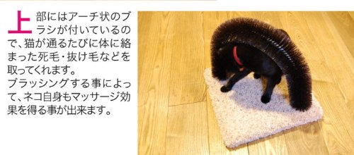 Ware Ware Brush N Scratch, Carpet - Image 7